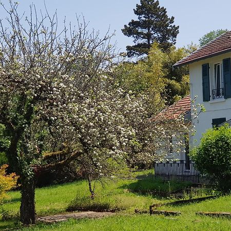 La Petite Sommiere Appartement Besançon Buitenkant foto