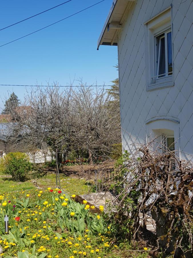 La Petite Sommiere Appartement Besançon Buitenkant foto