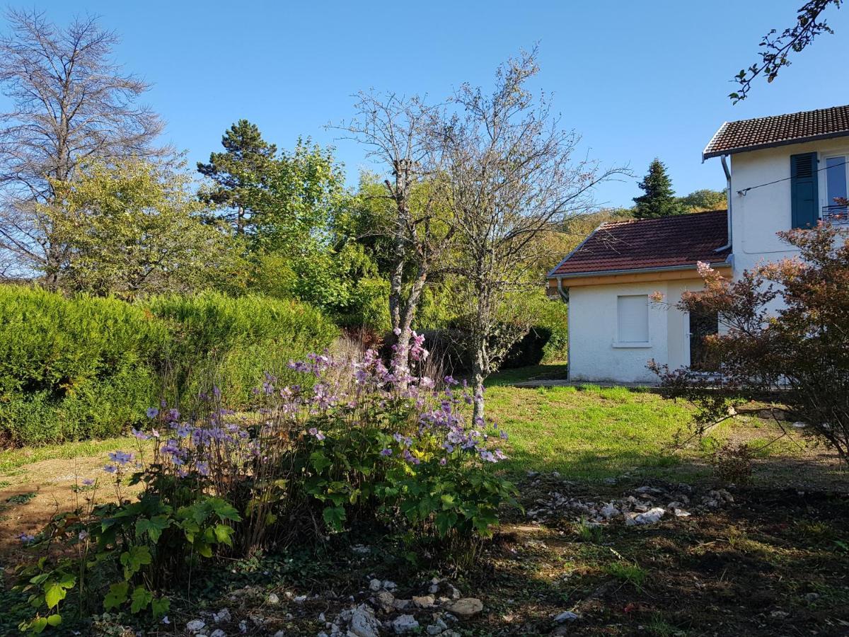 La Petite Sommiere Appartement Besançon Buitenkant foto
