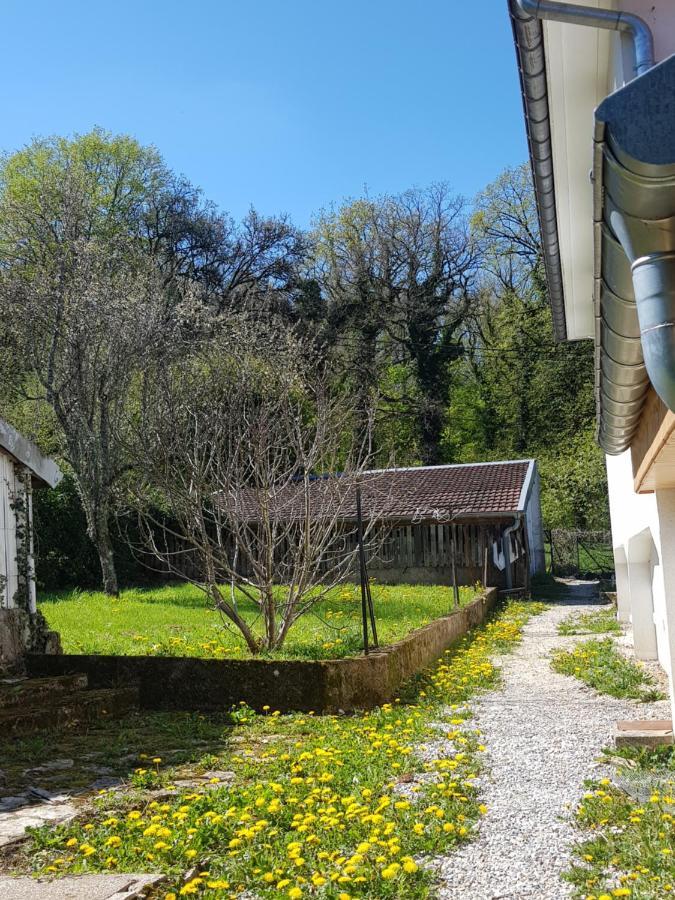 La Petite Sommiere Appartement Besançon Buitenkant foto