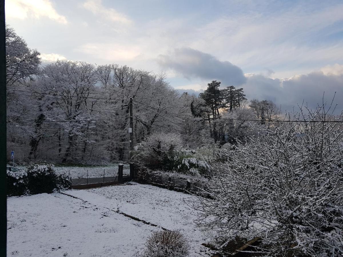 La Petite Sommiere Appartement Besançon Buitenkant foto