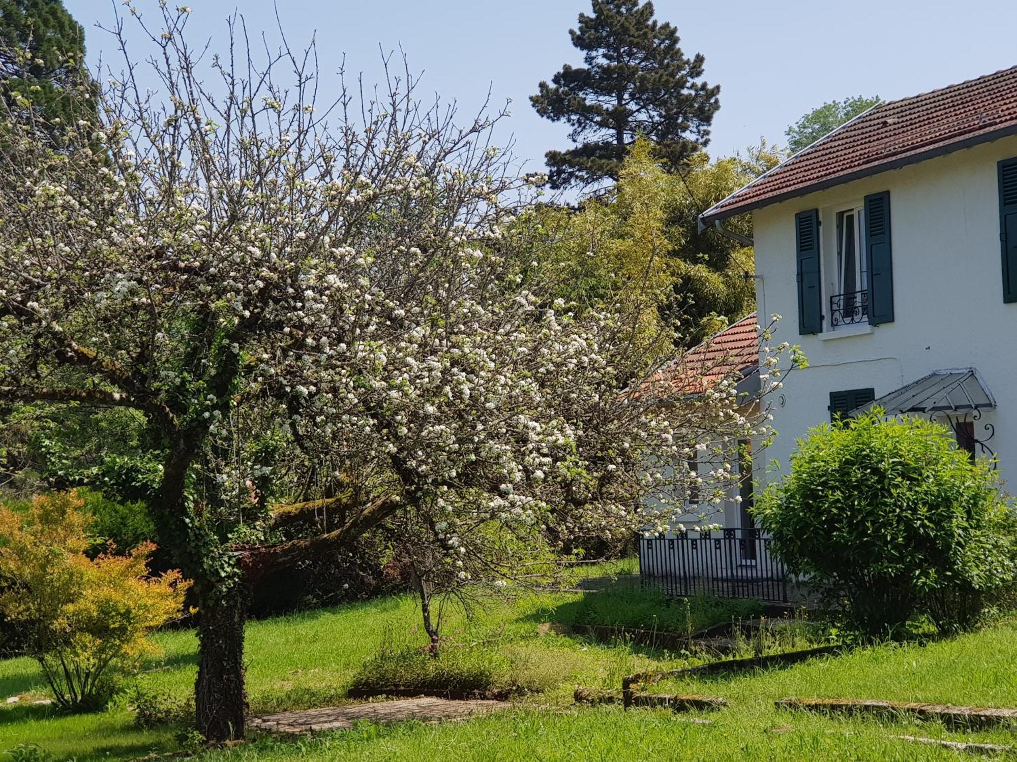 La Petite Sommiere Appartement Besançon Buitenkant foto